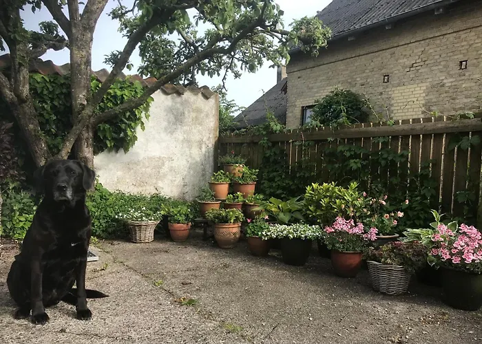 Staevnegaarden